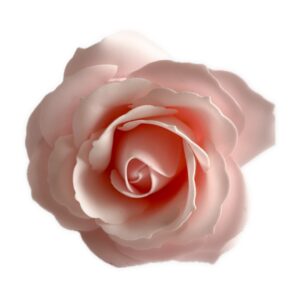 Mydło zapachowe - róża