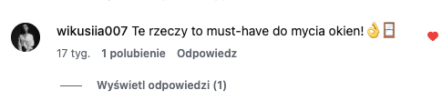 Ekspres do mycia szyb Raypath - opinia