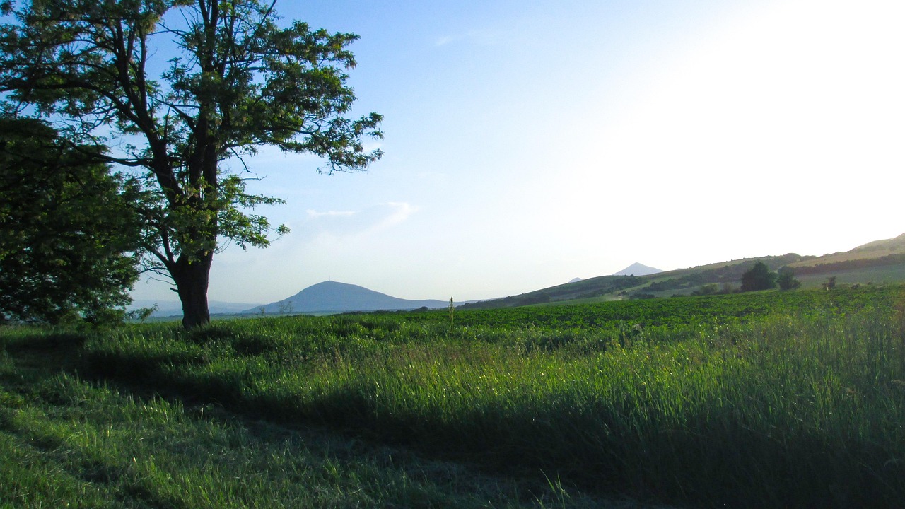 Eco Friendly - wsparcie