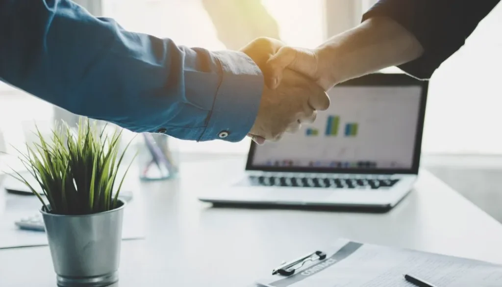 Eco Friendly - partnerzy