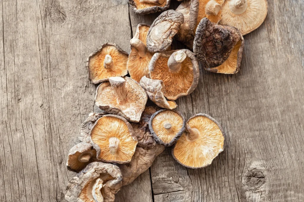 Adaptogeny - co to jest i właściwości